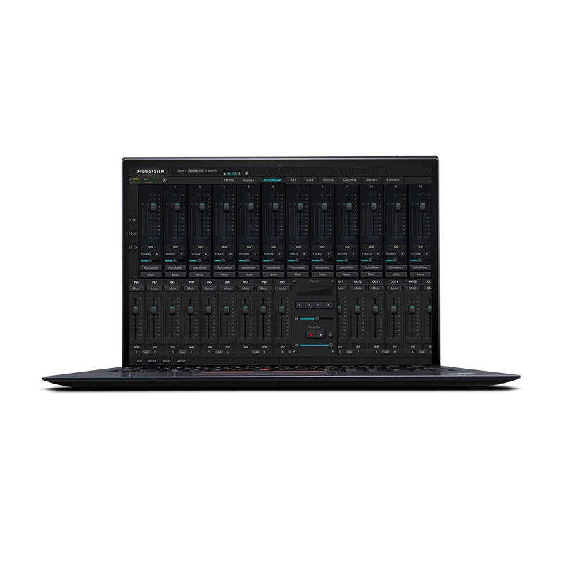 What is the purpose of the audio processor?