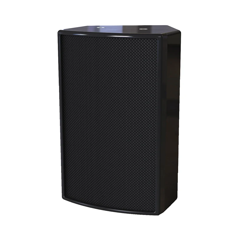 6-Inch Dante Speaker