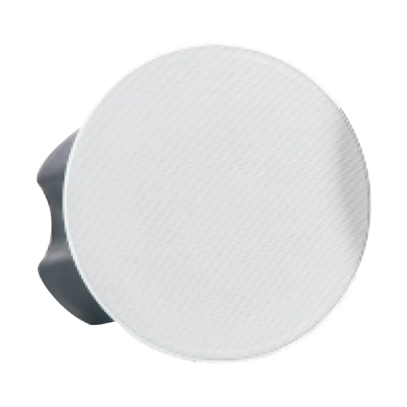 Dante Ceiling Speaker